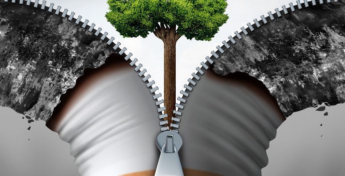 Que faut-il comprendre des annales Akashiques ? arbre de vie