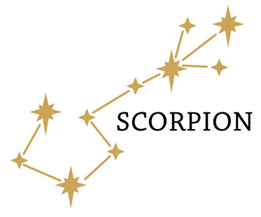 horoscope scorpion 2024